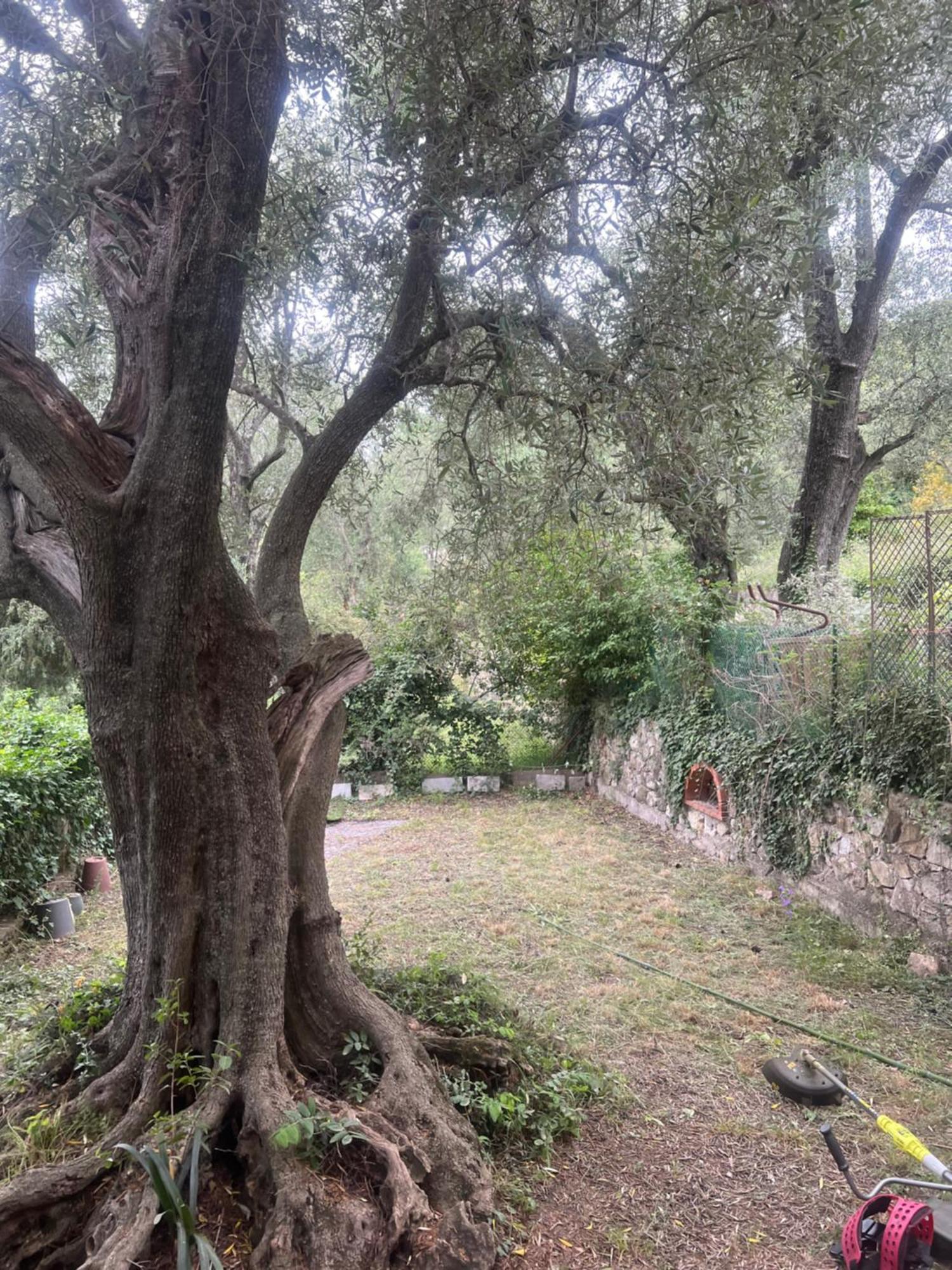 Bas De Villa Vue Mer Eze Village Exteriör bild