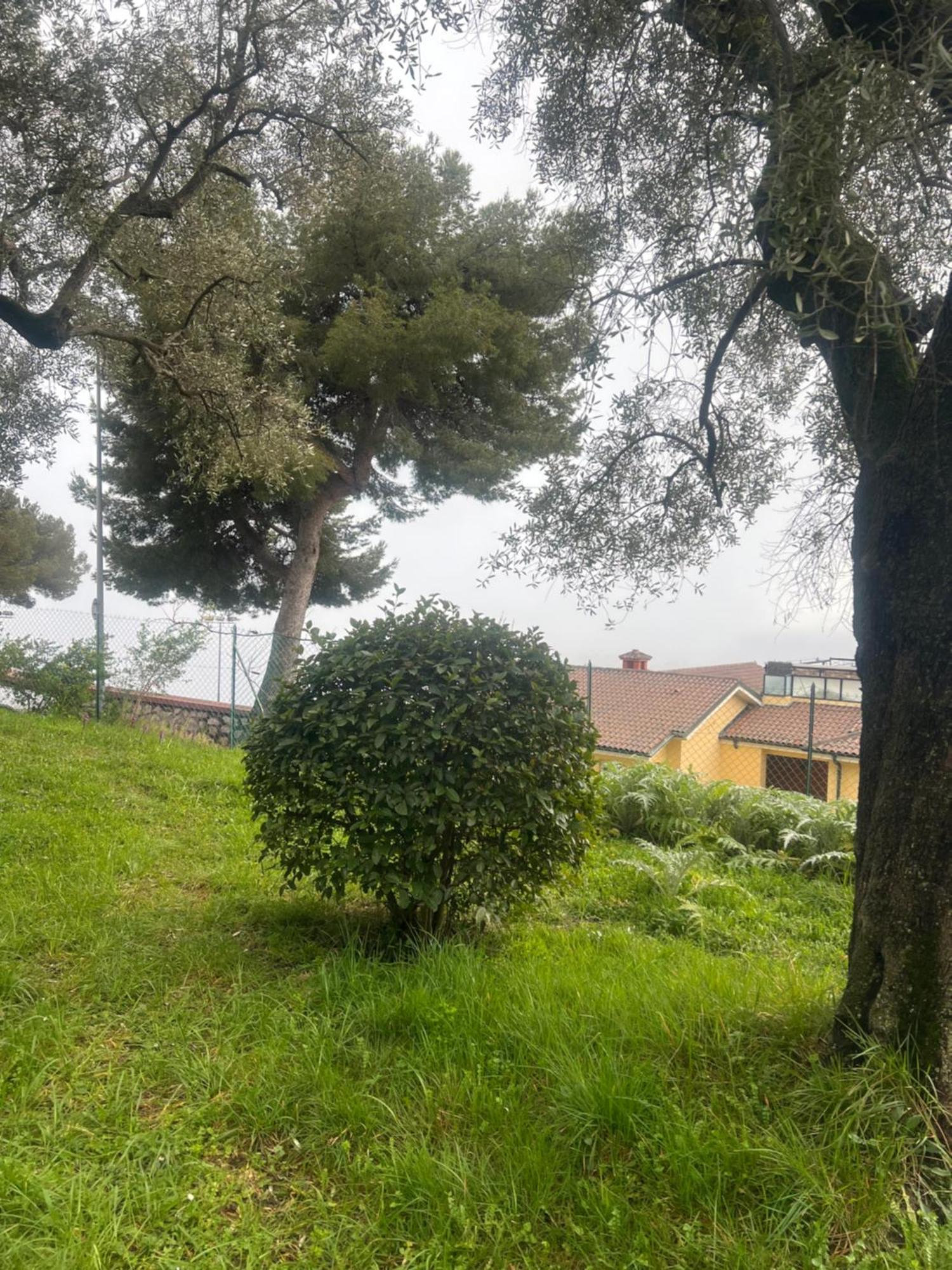 Bas De Villa Vue Mer Eze Village Exteriör bild
